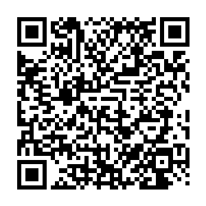 初生儿是吃不了糖的吧……又或者怪物王国的婴儿一出生就有超强的消化系统二维码生成