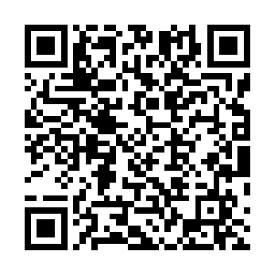 初级镜像分身术可以让张铁在短时间内拥有一个镜像分身二维码生成