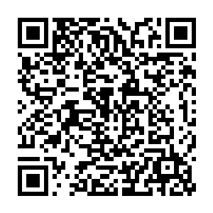 判定一百五十五人要在这么短的时间内建造一个中型城堡几乎没有可能二维码生成