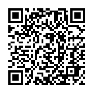 判定凶手正是之前派传来的影像中出现过的大型野兽二维码生成