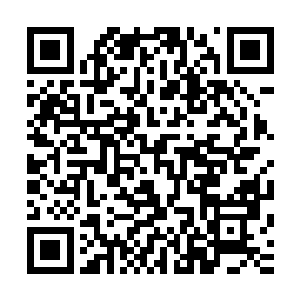 判断着火势大小和肉片的厚薄――她看到林地远处出现了人影二维码生成