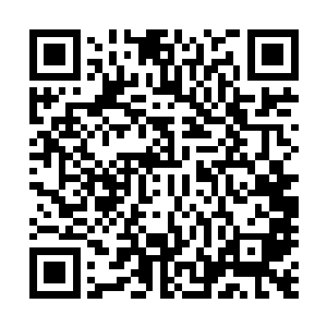 刨除在火极宫内突破到白莲九品总共消耗的九百来枚愿力珠二维码生成