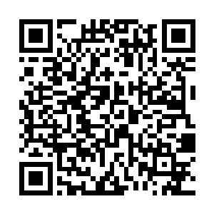 利亚姆还不知道这个世界里到底会有什么在等待着他二维码生成