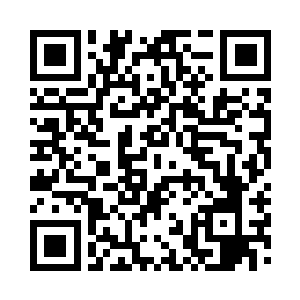 利比亚人觉得三天建造出来的碉堡没法用二维码生成