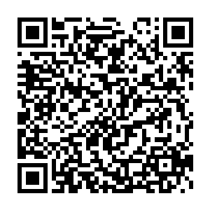 利爪也是无比凶狠朝着奎牛的头上抓去而奎牛自然也不是好想与的二维码生成