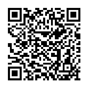 利爪和护盾的接触点上不断有魔力的光辉在爆炸二维码生成