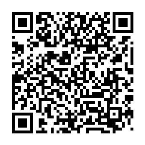 利用变异的进化之力把它的身体各项数值都进化到一个稳定的配比率二维码生成