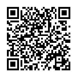 利用天火之力将异火诀给推进道第七层巅峰的极限二维码生成