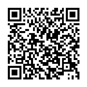 利用岸边的一丛芦苇之类的野生植物挡住自己用望远镜观察对面二维码生成