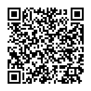 利用庇护所世界五大区域的本源力量凝聚成了五件禁器和五个古墓二维码生成