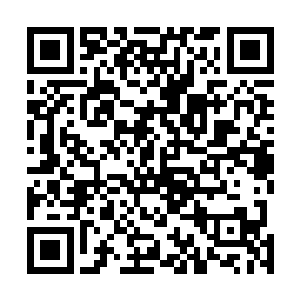 利用武力威胁这个看起来很呆的土著帮它寻找更多的能源二维码生成