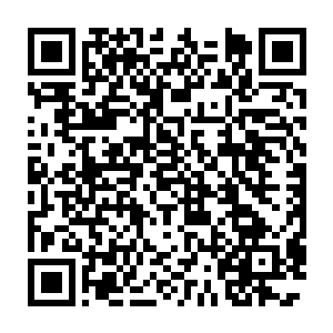 利用特殊身份优势利用阿德耶总统临终嘱托获得发言权的阿德耶夫人二维码生成