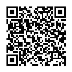 利用自己超快的速度对着骷髅僵尸王不停发动进攻二维码生成