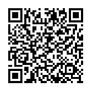 利用高超的黑客技术为自己制造了一个艺人身份二维码生成