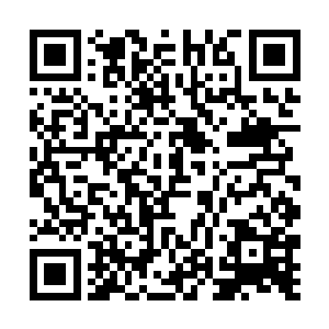 别人也得愿意拿你蘸酱……听说你讹了海河五千灵石二维码生成