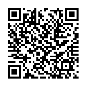 别人想要通过摧毁地核毁掉天龙宗就根本不可能了二维码生成