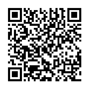 别人或许不了解这灵体比斗时有可能会遇到的各种状况二维码生成