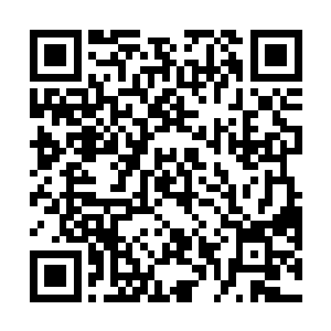 别人过年杀猪找我帮忙我也就是帮着搅合搅合血什么的二维码生成