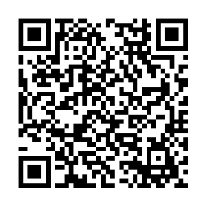 别人还那么维护的想要平息这个世界的怨怒干什么二维码生成