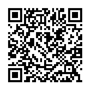 别人都和你这个十岁就觉醒灵根的小怪物一样么二维码生成