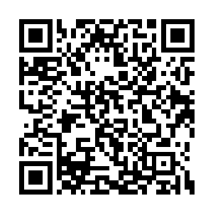 别人都要以为杨晨的实力已经达到炼虚的境界了二维码生成