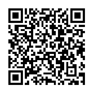 别仗着邪神给你的一点神力就以为能到处胡作非为了二维码生成