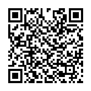 别以为幽冥域就是一个活人跟死人分明的阴森之地二维码生成