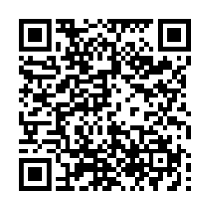 别伤害梅姐……别伤害梅姐……我给你……我给你……二维码生成