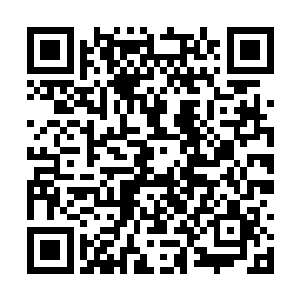 别到时候一下子被人发现自己在偷偷吸收金乌真火二维码生成