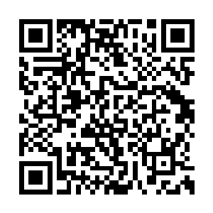 别到时候把我新收拢的留仙派给掳去给了夏瑞泽二维码生成