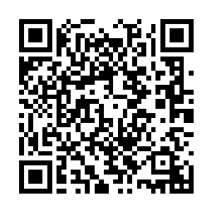 别告诉我是觉醒者死后被刷新成普通人的那种复活二维码生成