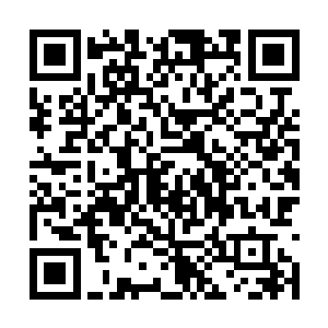 别告诉爷你要将这盆带着自己味道的花给人送回去二维码生成