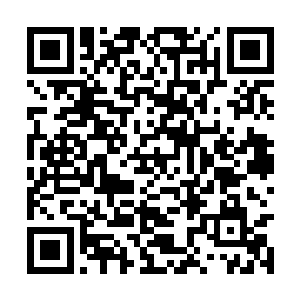 别墅前面的空地里布满零零星星的受伤者和淘汰者二维码生成