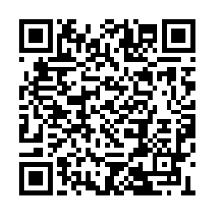 别忘了在符魔界还没大乱的时候我家也算不错的二维码生成