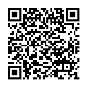 别把我和这台傻头傻脑的蜘蛛战车相提并论好吗二维码生成