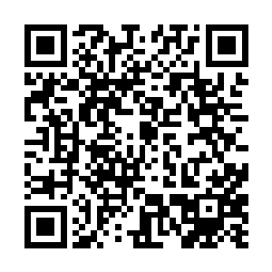 别是从狗洞里跑到家中的野狗撒的尿就好……呃……二维码生成