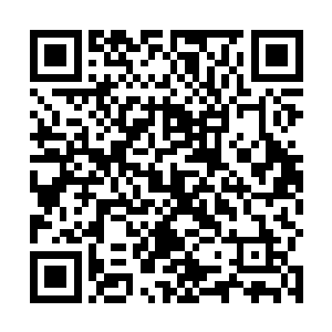 别是那些宝物都已经毁了吧……可千万要给我留一点啊二维码生成