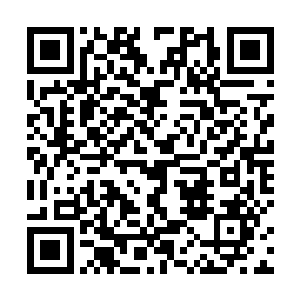 别的妖蛮在葬圣谷里看到你我在一起的肯定会到处宣扬二维码生成