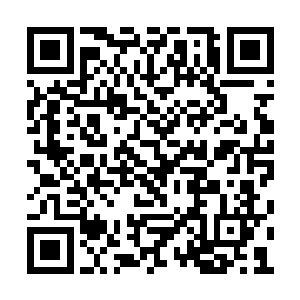 别的记者都是想法设法去做一些花边新闻的头条二维码生成