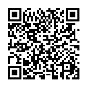 别的金枪鱼船是一刀两半或是直接就是一条往下扔二维码生成