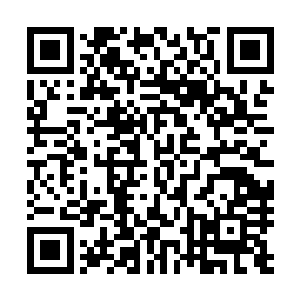 别的骑士要像他这样十倍二十倍的加快元素水晶的吸收速度二维码生成