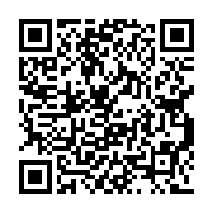 别看他刚才祭放玉如意落下万千瑞气无比的飘逸二维码生成