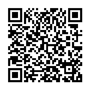 别看刚才邵丽红一听罗大伟和李亘宇的名头就吓得心里直打哆嗦二维码生成