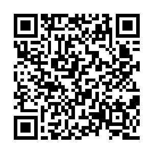 别看现在兄弟会不被六大势力任何一方放在眼内二维码生成