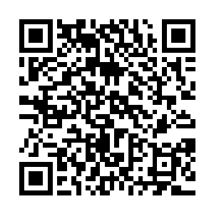 别看瑞雯这个英雄可以算作是全英雄联盟最为火爆的英雄之一二维码生成