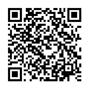 别看陈诚自己最近也在网上看到了传得沸沸扬扬的七龙珠事件二维码生成
