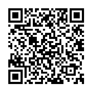 别说只是区区病毒就算你公公婆婆只剩下一口气二维码生成