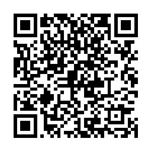 别说成立国家自立为王这么遥远得几乎不可能达成的野望了二维码生成