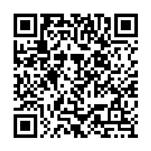 别说是一个伊阿珀托斯和那十几个傀儡的力量了二维码生成