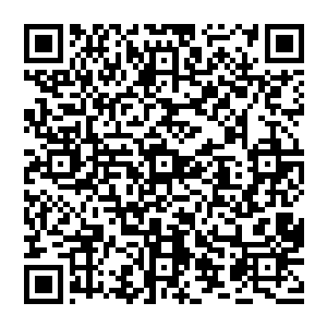 别说是淡水和海水的区别了就算是遇到了皮球不咬死这货也会纠结了土狗油条这些一起咬死河马的二维码生成